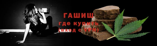 индика Вязьма