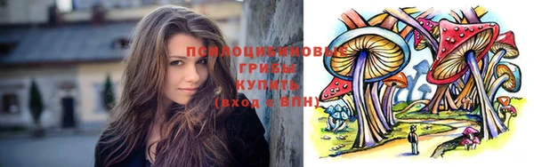 индика Вязьма