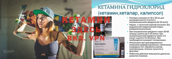 индика Вязьма