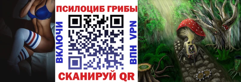 Галлюциногенные грибы мицелий  сколько стоит  hydra как войти  Енисейск 
